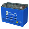 Mighty Max Battery 12-Volt 21 Ah 350 CCA GEL Rechargeable Sealed Lead Acid Battery YTX24HL-BSGEL